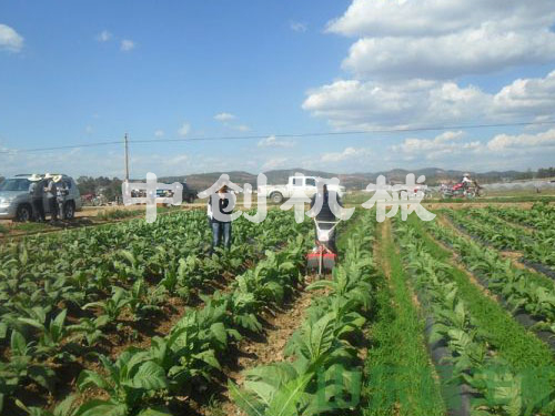黃煙開溝培土機